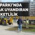 Gezi Parkı'nda merak uyandıran hareketliliğin nedeni belli oldu Gezi Parkı'nda merak uyandıran hareketliliğin nedeni belli oldu