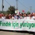 CHP'nin 'Fındık İçin Yürüyoruz' etkinliği