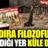 ﻿Mandıra Filozofu'nun çekildiği yer küle döndü