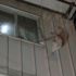 Yangında mahsur kalan kedi son anda kurtarıldı