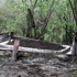 Terörist Şafak Yayla'nın mezarına beton döküldü Terörist Şafak Yayla'nın mezarına beton döküldü