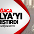 Ağaca İtalya'yı Karıştırdı! Ağaca İtalya'yı Karıştırdı!