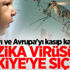 Zika virüsü Türkiye'de!