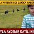 Leyla Aydemir son dakika katili kim amcası neden tutuklandı Leyla Aydemir son durum nedir