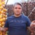'Cennet elması' için hasat telaşı başladı