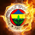 Fenerbahçe'de şok! Yıldız futbolcu 4 ay yok!