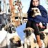 12 yaşındaki Naz, Kangal köpekleriyle büyüyor 12 yaşındaki Naz, Kangal köpekleriyle büyüyor