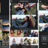 Layout from Instagram yayınlandı | Layout from Instagram ne işe yarıyor Layout from Instagram yayınlandı | Layout from Instagram ne işe yarıyor