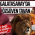 Galatasaray krizden işte böyle çıktı! Fatih Terim... #