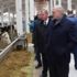Belarus Cumhurbaşkanı çiftlik çalışanlarını azarladı