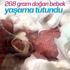 Erkek aslan avı yerine dişisini yakaladı