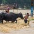 Nepal’de sel Hindistan'da heyelan: 94 kişi yaşamını yitirdi Nepal’de sel Hindistan'da heyelan: 94 kişi yaşamını yitirdi