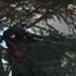 Tokat'ta ağaçta mahsur kalan kedi kurtarıldı