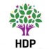 HDP heyeti Kandil’den döndü HDP heyeti Kandil’den döndü