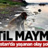 Katil maymun! Katil maymun!