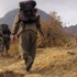 FLAŞ! PKK'nın kilit ismi yakalandı