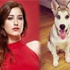 Hazal Kaya köpek sahiplendi