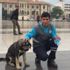 Temizlik işçisi ile sokak köpeğinin kıskandıran dostluğu Temizlik işçisi ile sokak köpeğinin kıskandıran dostluğu