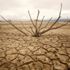 Kuraklık ve çölleşme her yıl 12 milyon hektar toprağı yok ediyor