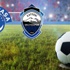 Kasımpaşa 3-3 Kayseri Erciyesspor