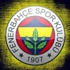 Fenerbahçe'de e-bilet sisteminin altyapısı tamamlandı
