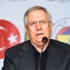 Yankaya bir daha maçımıza gelirse stattan çıkamaz Yankaya bir daha maçımıza gelirse stattan çıkamaz