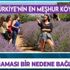 Türkiye'nin lavanta bahçesi! Isparta Kuyucak köyünde koronavirüs görülmedi