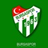 Bursaspor 52 yaşında