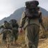 Terör örgütü PKK, işgal ettiği alanlarda gıda fiyatını ikiye katladı