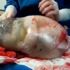 Bebek dünyaya öyle bir halde geldi ki doktorlar bile inanamadı! Bebek dünyaya öyle bir halde geldi ki doktorlar bile inanamadı!