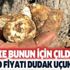 İki ülke bunun için deliriyor! Kilo fiyatı ağızları açık bırakacak cinsten! Kerameti ise...