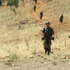 Bingöl'de çatışma: 2 yaralı Bingöl'de çatışma: 2 yaralı