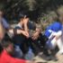 Kırklareli'nde 78 düzensiz göçmen yakalandı