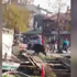 İstanbul Boğazı'ndan çıkan domuz Beykoz'u karıştırdı!