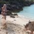 Ünlü model bikini çekiminde canını zor kurtardı! Her şey saniyeler içinde oldu Ünlü model bikini çekiminde canını zor kurtardı! Her şey saniyeler içinde oldu