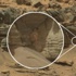 Mars'ta kadın silüeti belirdi