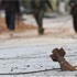 IŞİD roketlerinde sır detay