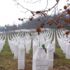 Srebrenitsa anneleri haykırdı: İşte katliamın delili Srebrenitsa anneleri haykırdı: İşte katliamın delili