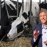 Bill Gates 'süper inek' için milyonlarca dolar harcayacak