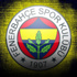 Ospinaamp;Maicon harekatı