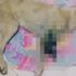 6 aylık yavru köpek ayağı ve kuyruğu kesilmiş halde bulundu