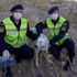 İyi ki iyi insanlar var. Başı bidona sıkışan köpeği kurtarmak için canla başla savaştılar İyi ki iyi insanlar var. Başı bidona sıkışan köpeği kurtarmak için canla başla savaştılar