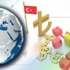 'Türkiye'nin ekonomide harika bir hikayesi var'