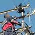 Elektrik tellerine takılan Karga'yı itfaiye ekipleri kurtardı Elektrik tellerine takılan Karga'yı itfaiye ekipleri kurtardı