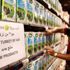 Katar Ticaret Odası'ndan Türkiye'ye teşekkür Katar Ticaret Odası'ndan Türkiye'ye teşekkür