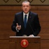 Cumhurbaşkanı Erdoğan'dan 10 Aralık mesajı