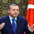﻿Erdoğan'dan orman yangınlarına ilişkin açıklamalar