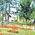 Emirgan Korusu da AVM oluyor