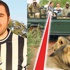 Bu formayla zebra avına gidince öldü! Bu formayla zebra avına gidince öldü!
