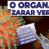 Vücudumuzu adeta ele geçiriyor! Koronavirüsün o organa da zarar verdiği ortaya çıktı! Vücudumuzu adeta ele geçiriyor! Koronavirüsün o organa da zarar verdiği ortaya çıktı!